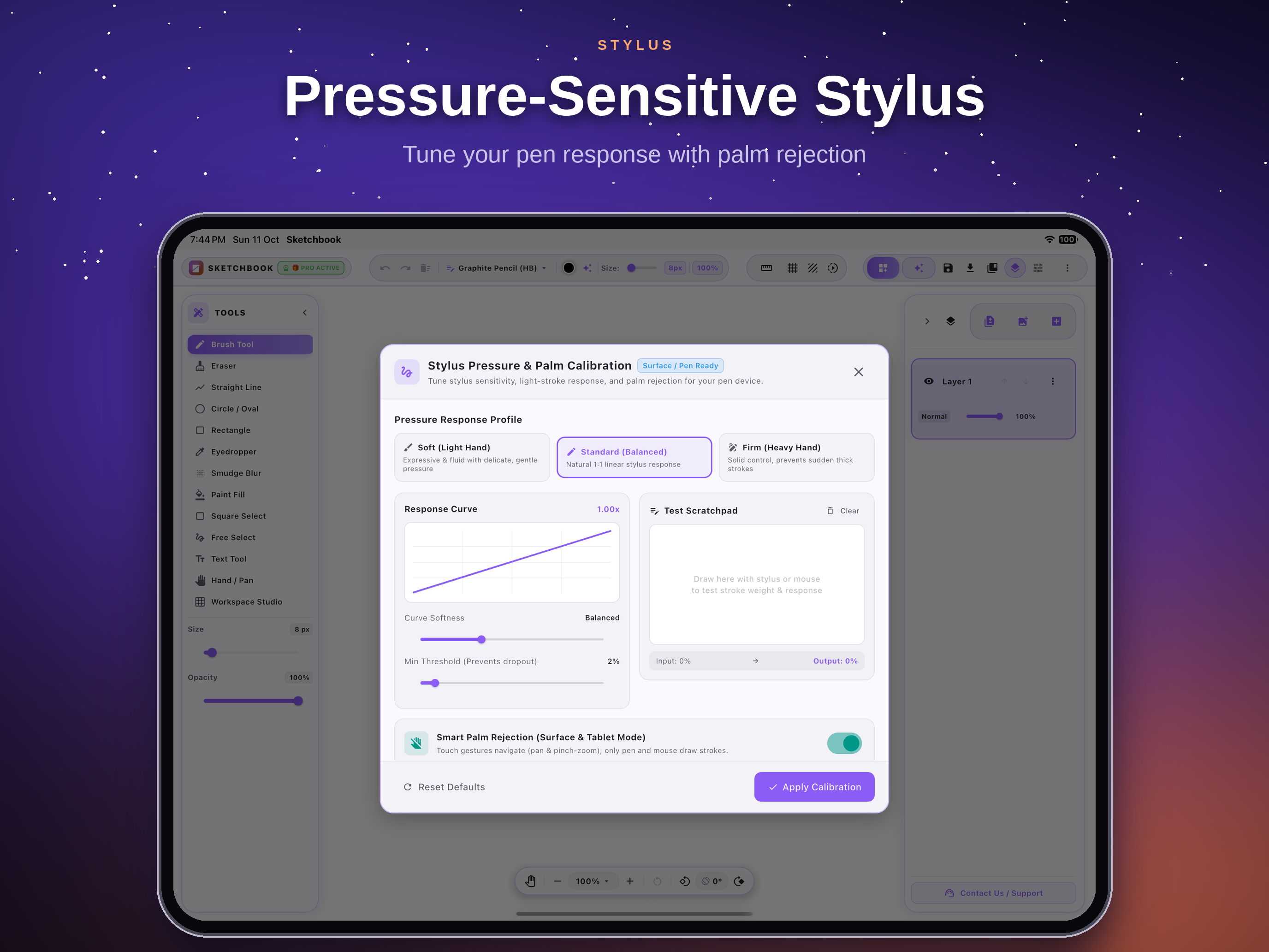 Stylus Pressure & Palm Calibration interface on tablet display